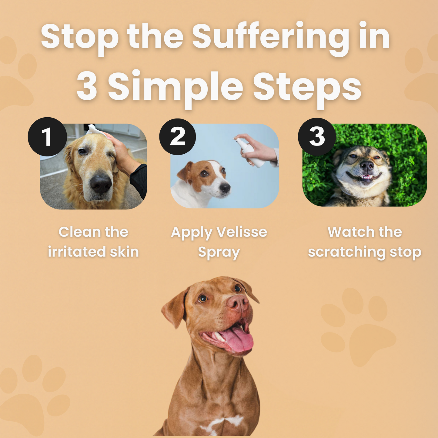 Vet Formulated Dog Spray
