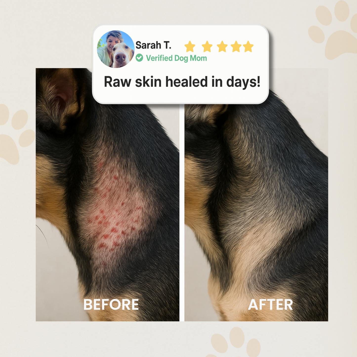 Vet Formulated Dog Spray
